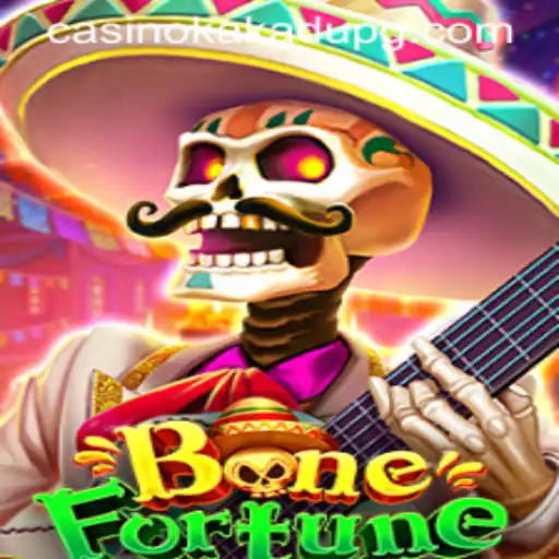 Discovering BoneFortune: A Captivating Journey into Casino Strategy